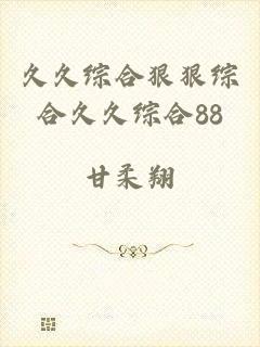久久综合狠狠综合久久综合88