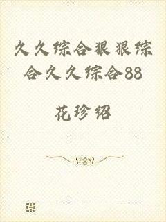久久综合狠狠综合久久综合88