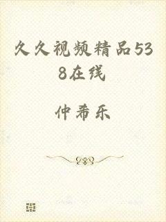 久久视频精品538在线