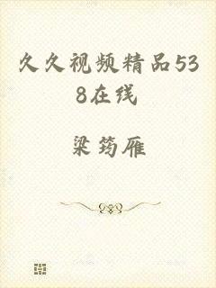 久久视频精品538在线