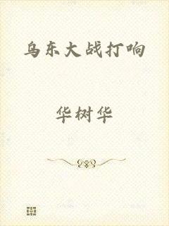 乌东大战打响