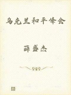 乌克兰和平峰会