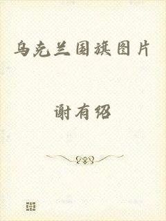 乌克兰国旗图片