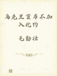 乌克兰宣布不加入北约