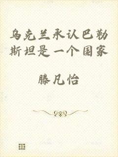 乌克兰承认巴勒斯坦是一个国家