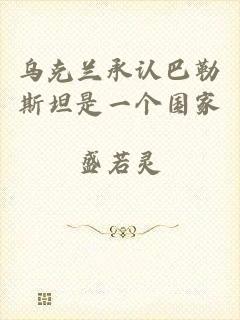 乌克兰承认巴勒斯坦是一个国家