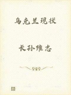 乌克兰现状