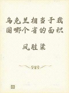 乌克兰相当于我国哪个省的面积