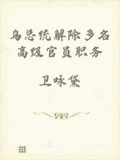 乌总统解除多名高级官员职务