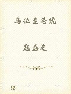乌拉圭总统