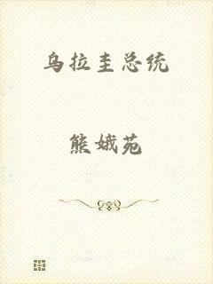 乌拉圭总统