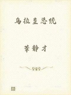 乌拉圭总统