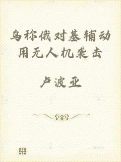 乌称俄对基辅动用无人机袭击