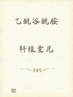 乙酰谷酰胺