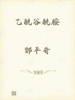 乙酰谷酰胺