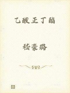 乙酸正丁酯