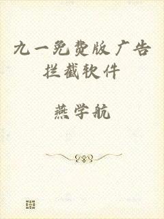 九一免费版广告拦截软件