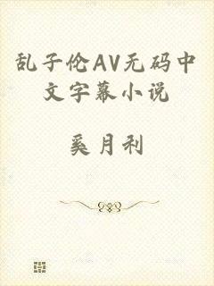乱子伦AV无码中文字幕小说