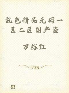 乱色精品无码一区二区国产盗