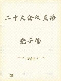 二十大会议直播