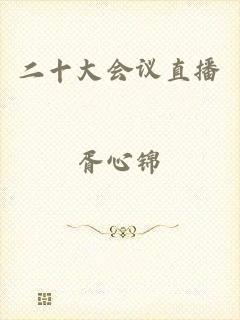 二十大会议直播
