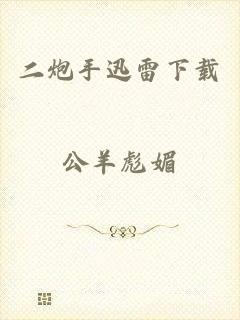 二炮手迅雷下载