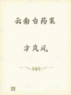 云南白药案