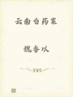 云南白药案
