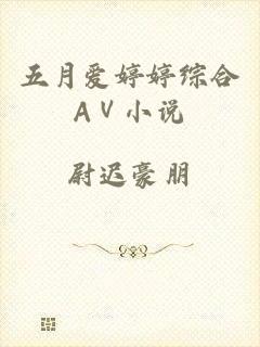 五月爱婷婷综合AⅤ小说