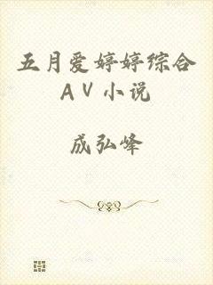 五月爱婷婷综合AⅤ小说