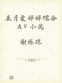 五月爱婷婷综合AⅤ小说