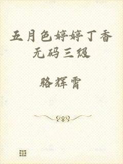 五月色婷婷丁香无码三级