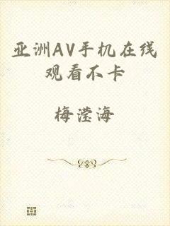 亚洲AV手机在线观看不卡