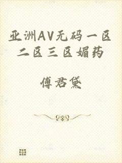 亚洲AV无码一区二区三区媚药