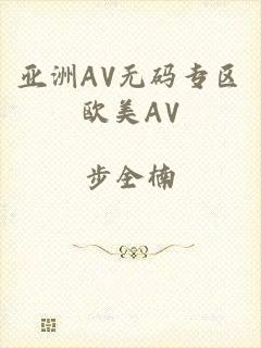 亚洲AV无码专区欧美AV