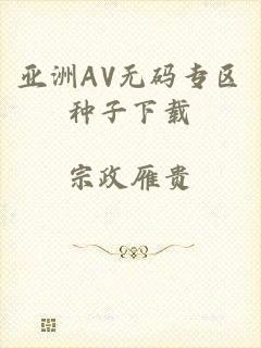 亚洲AV无码专区种子下载