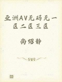 亚洲AV无码无一区二区三区