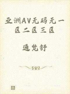 亚洲AV无码无一区二区三区