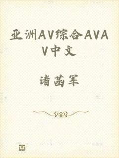 亚洲AV综合AVAV中文