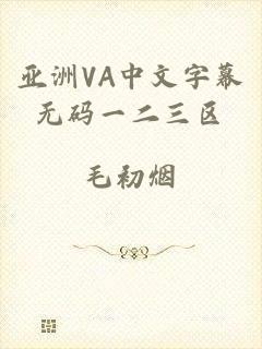 亚洲VA中文字幕无码一二三区
