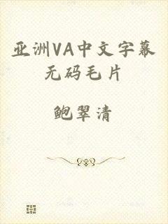 亚洲VA中文字幕无码毛片