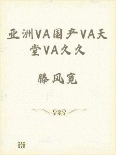 亚洲VA国产VA天堂VA久久