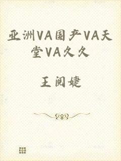 亚洲VA国产VA天堂VA久久