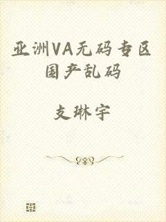 亚洲VA无码专区国产乱码