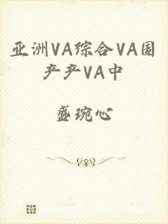 亚洲VA综合VA国产产VA中