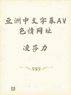 亚洲中文字幕AV色情网址