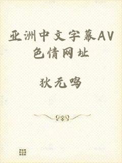 亚洲中文字幕AV色情网址