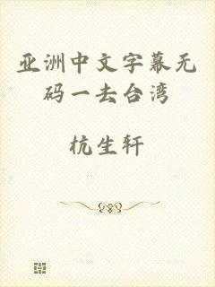 亚洲中文字幕无码一去台湾