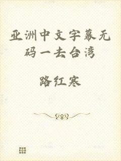 亚洲中文字幕无码一去台湾