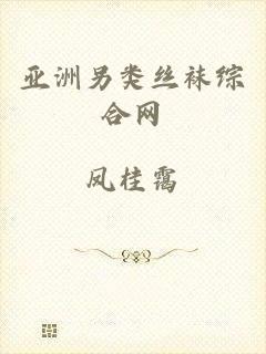亚洲另类丝袜综合网